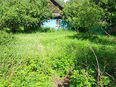 д.Старый Кутугун, ул.Сосновая, 20